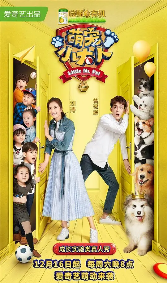 《萌宠小大人》：一场关于爱与成长的温馨治愈之旅，萌娃萌宠治愈一切不开心